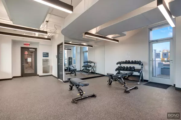 1 bedroom apartment for rent in Jamaica - Queens, New York