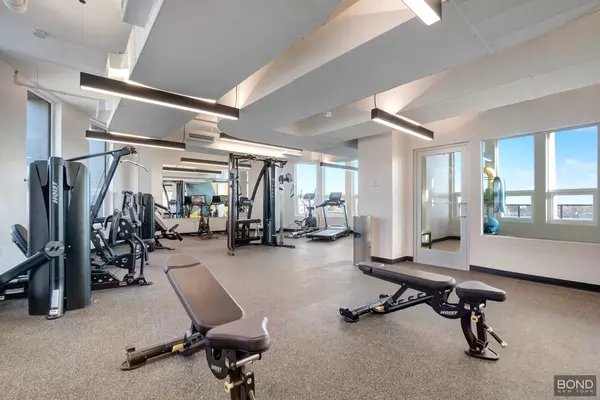 1 bedroom apartment for rent in Jamaica - Queens, New York