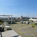 Coliving in Bushwick - Brooklyn, New York