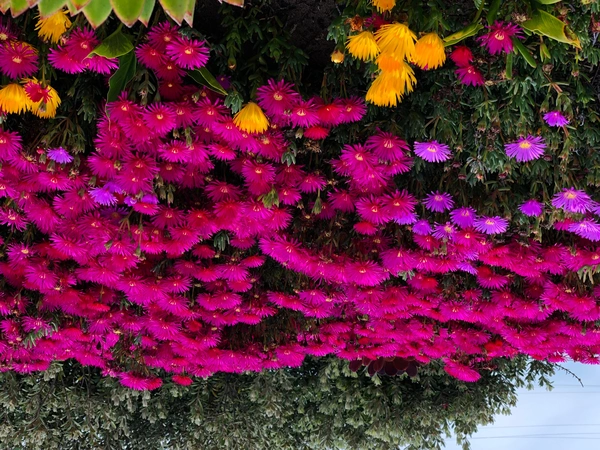 2 bedrooms apartment for rent in Midtown East - Manhattan, New York