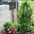 Room for rent in Georgetown #9