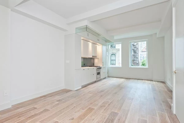 1 bedroom apartment for rent in Tribeca - Manhattan, New York