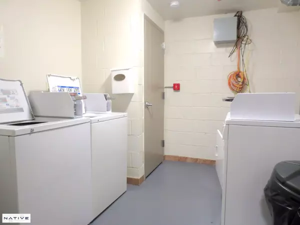 1 bedroom apartment for rent in Greenpoint - Brooklyn, New York