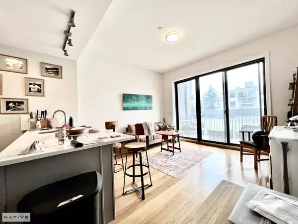 1 bedroom apartment for rent in Greenpoint - Brooklyn, New York