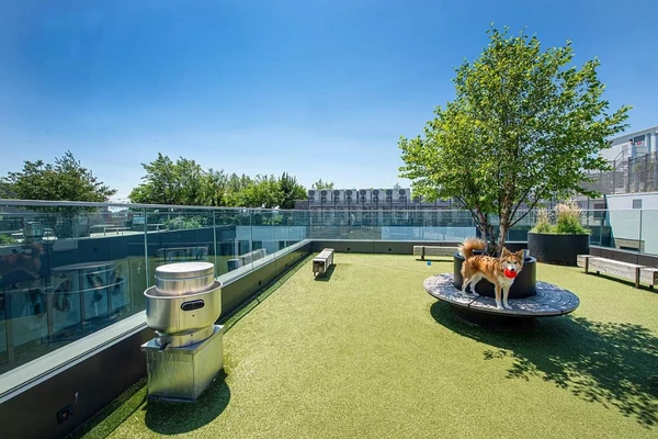 3 bedrooms apartment for rent in Bushwick - Brooklyn, New York