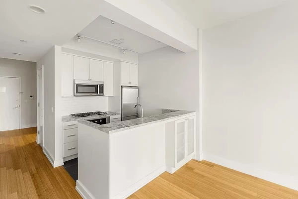 1 bedroom apartment for rent in Brooklyn Heights - Brooklyn, New York