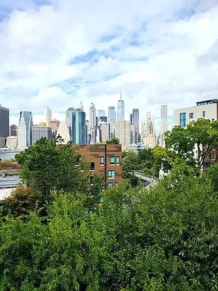 Studio Apartment for rent in Brooklyn Heights - Brooklyn, New York