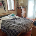 Room for rent in Lower Town / Byward Market #1