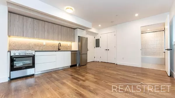 1 bedroom apartment for rent in Williamsburg - Brooklyn, New York