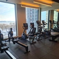 Room for rent in Harbourfront #24