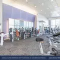 2 bedrooms apartment for rent in FiDi - Manhattan, New York