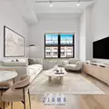 1 bedroom apartment for rent in Dumbo - Brooklyn, New York