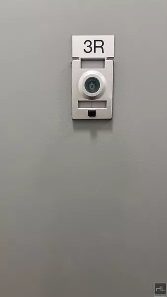 1 bedroom apartment for rent in Flatbush Ditmas Park - Brooklyn, New York