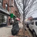 1 bedroom apartment for rent in Flatbush Ditmas Park - Brooklyn, New York
