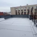 1 bedroom apartment for rent in Flatbush Ditmas Park - Brooklyn, New York