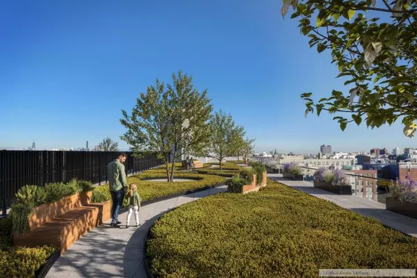 Studio Apartment for rent in Flatbush Ditmas Park - Brooklyn, New York