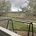 Room for rent in Aurora CO #8