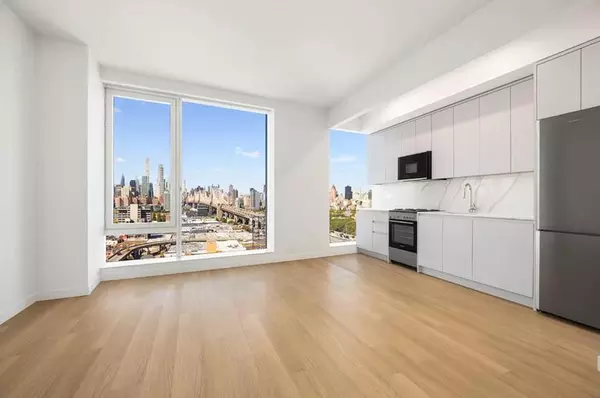 1 bedroom apartment for rent in LIC - Queens, New York