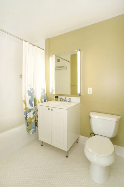 1 bedroom apartment for rent in LIC - Queens, New York