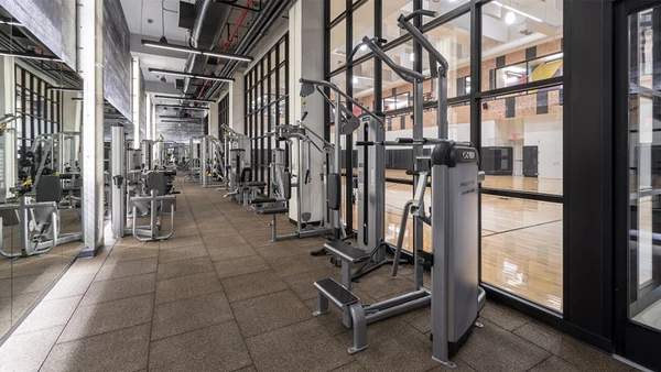 1 bedroom apartment for rent in LIC - Queens, New York