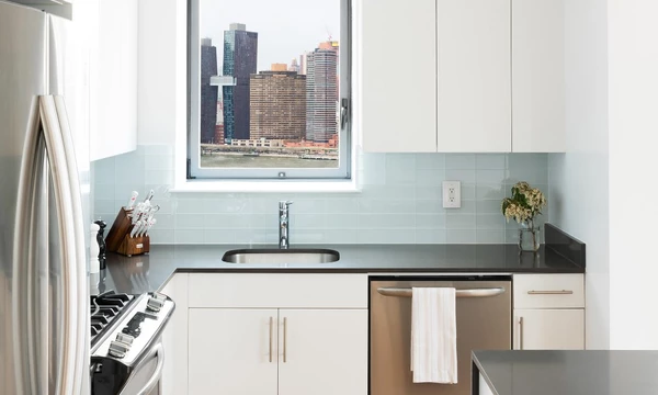 1 bedroom apartment for rent in LIC - Queens, New York