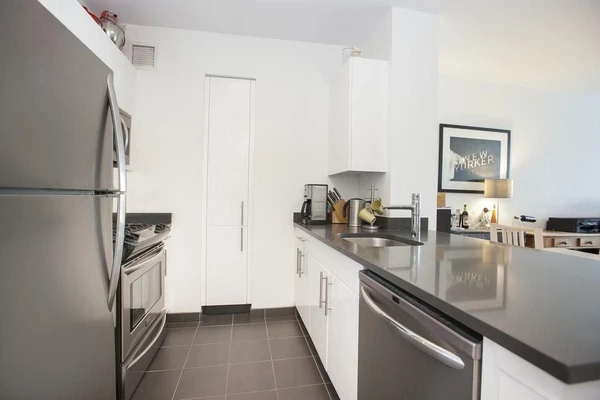 1 bedroom apartment for rent in LIC - Queens, New York