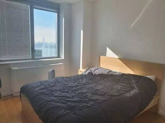 1 bedroom apartment for rent in LIC - Queens, New York