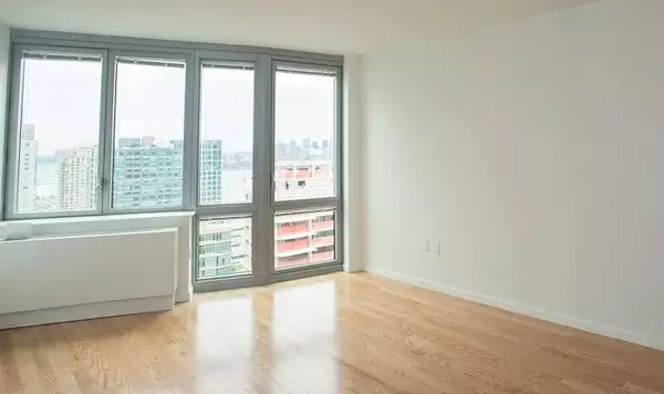 1 bedroom apartment for rent in LIC - Queens, New York