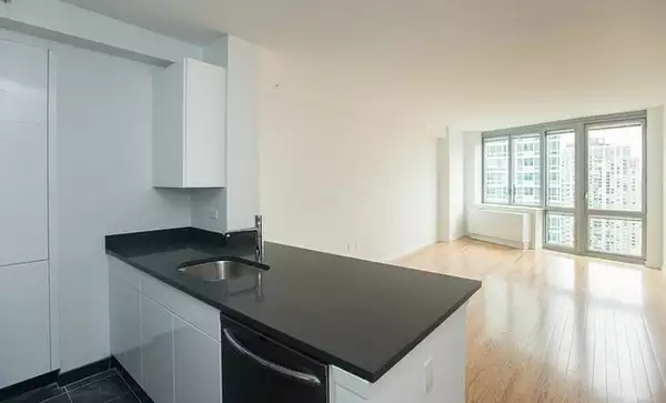 1 bedroom apartment for rent in LIC - Queens, New York