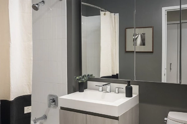 1 bedroom apartment for rent in LIC - Queens, New York