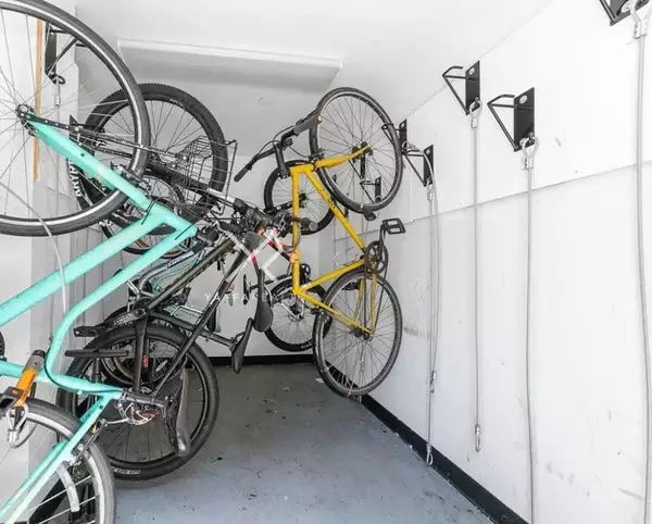 1 bedroom apartment for rent in Flatbush Ditmas Park - Brooklyn, New York