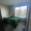 Room for rent in College Area SD #9