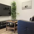 Coliving in West Hollywood - Central Los Angeles, Los Angeles