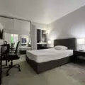 Coliving in Hollywood Hills - Central Los Angeles, Los Angeles