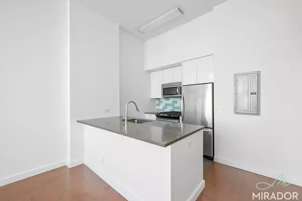 1 bedroom apartment for rent in Fort Greene - Brooklyn, New York