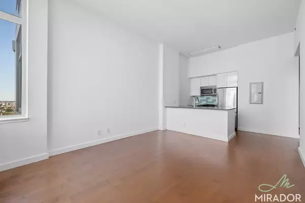 1 bedroom apartment for rent in Fort Greene - Brooklyn, New York