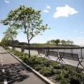 2 bedrooms apartment for rent in Sunset Park - Brooklyn, New York