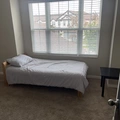 Room for rent in Wesley Chapel #3