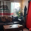 Room for rent in Mission Beach #2