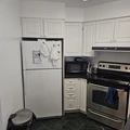 Room for rent in Yonge-Bay Corridor #3