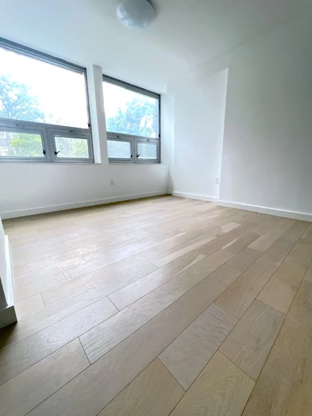 Studio Apartment for rent in Brooklyn Heights - Brooklyn, New York