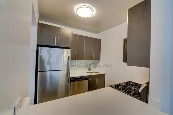 1 bedroom apartment for rent in FiDi - Manhattan, New York