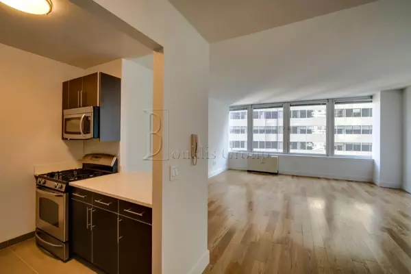 1 bedroom apartment for rent in FiDi - Manhattan, New York