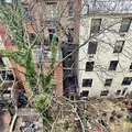 2 bedrooms apartment for rent in Upper West Side - Manhattan, New York