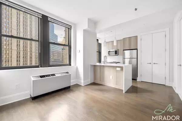 Studio Apartment for rent in FiDi - Manhattan, New York