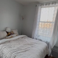 Room for rent in Morris Heights #1