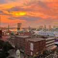 Room for rent in FiDi #1