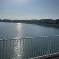 Room for rent in Punta Gorda #1