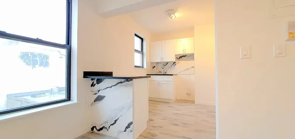 1 bedroom apartment for rent in Williamsburg - Brooklyn, New York