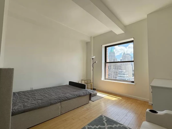 1 bedroom apartment for rent in FiDi - Manhattan, New York